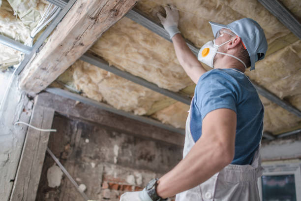 Best Eco-Friendly Insulation in Stevensville, MI