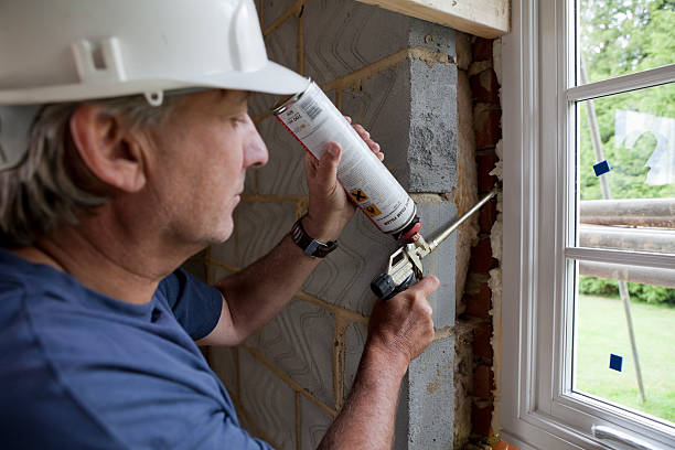 Best DIY Insulation Kits and Guidance in Stevensville, MI