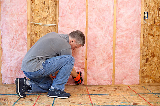 Best Spray Foam Insulation in Stevensville, MI