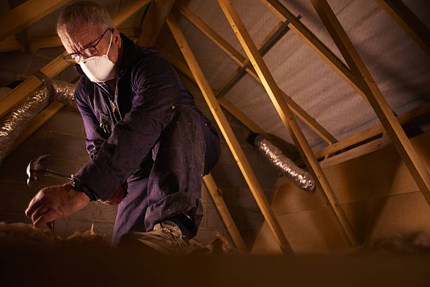 Types of Insulation We Offer in Stevensville, MI